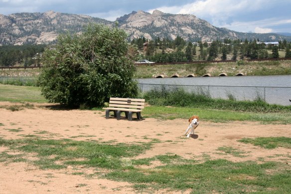 estes-dog-park