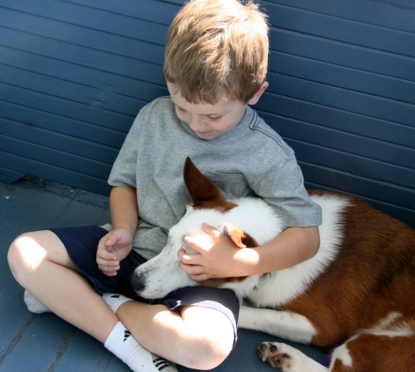 davey-and-buster-lap