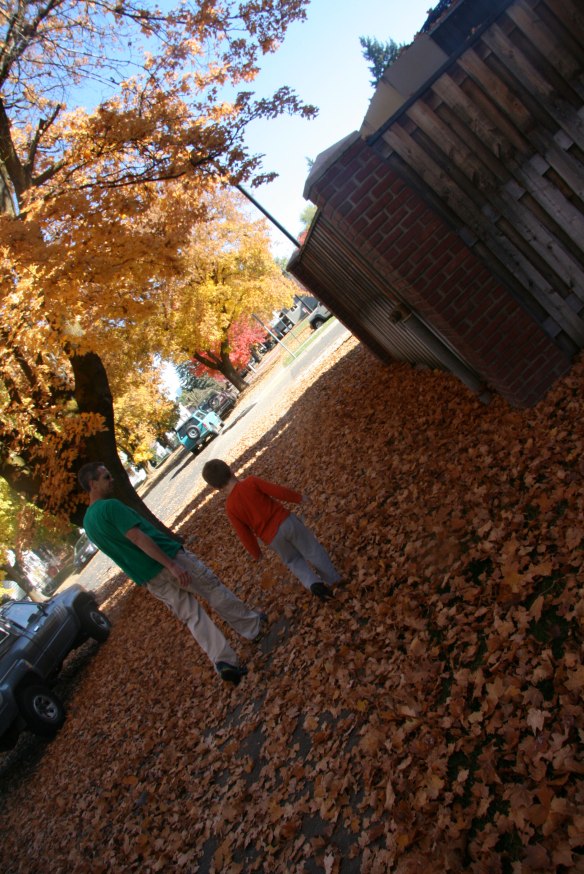 walk-in-the-leaves