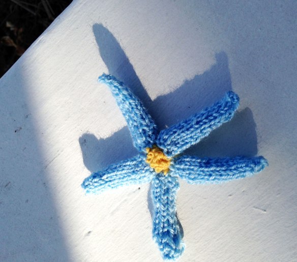 starfish-flower